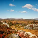 Modern Mountain - Sauna - 5 Bedrooms - Sleeps For 10 Semesterbostad *
